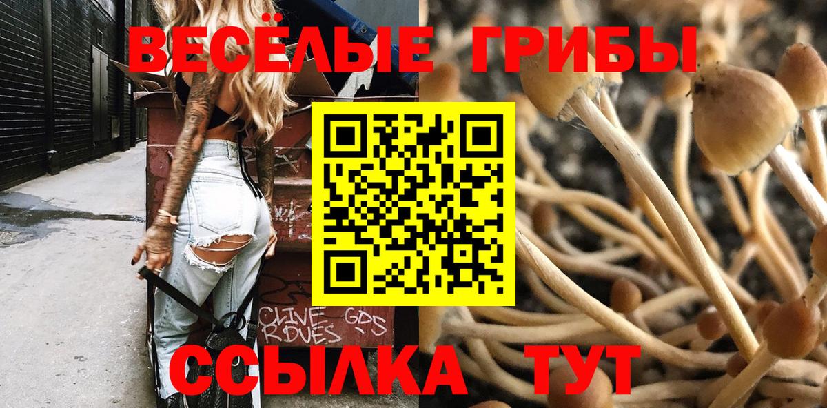 Полевской  Галлюциногенные грибы Psilocybine cubensis  Вход с VPN 